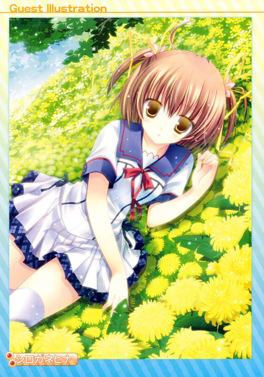 absurdres brown_hair dandelion deliverer! dutch_angle female field flower flower_field highres shirogane_hina short_twintails solo thighhighs twintails white_thighhighs yellow_eyes yufu_sumika