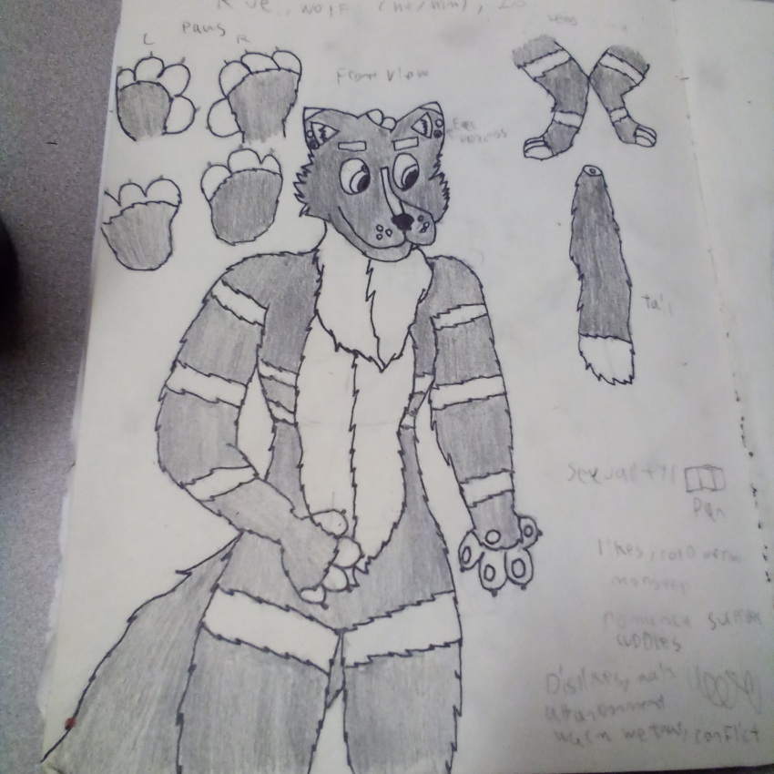 1:1 anthro artist_fluffyboyrue canid canine canis hi_res male mammal model_sheet rue solo wolf