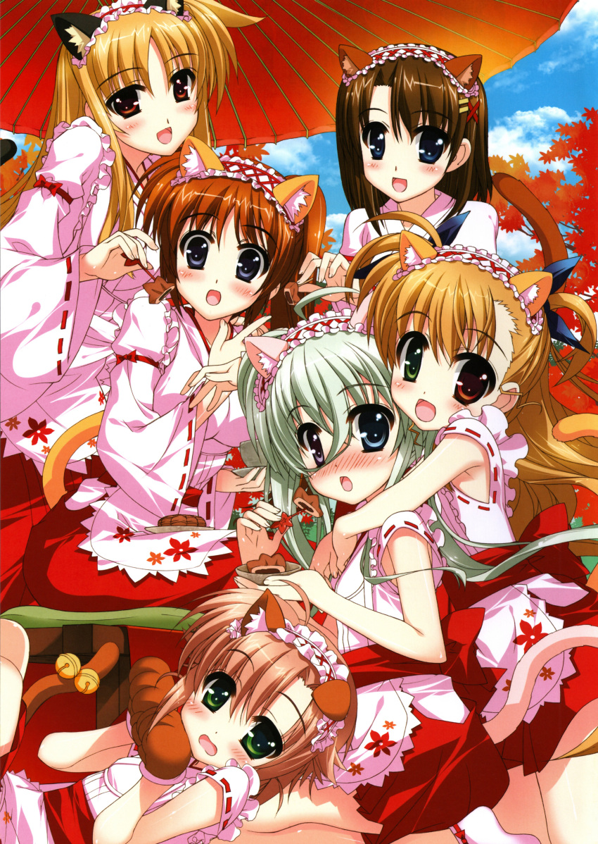 animal_ears einhart_stratos fate_testarossa fujima_takuya heterochromia mahou_shoujo_lyrical_nanoha miura_rinaldi screening tail takamachi_nanoha vivio yagami_hayate