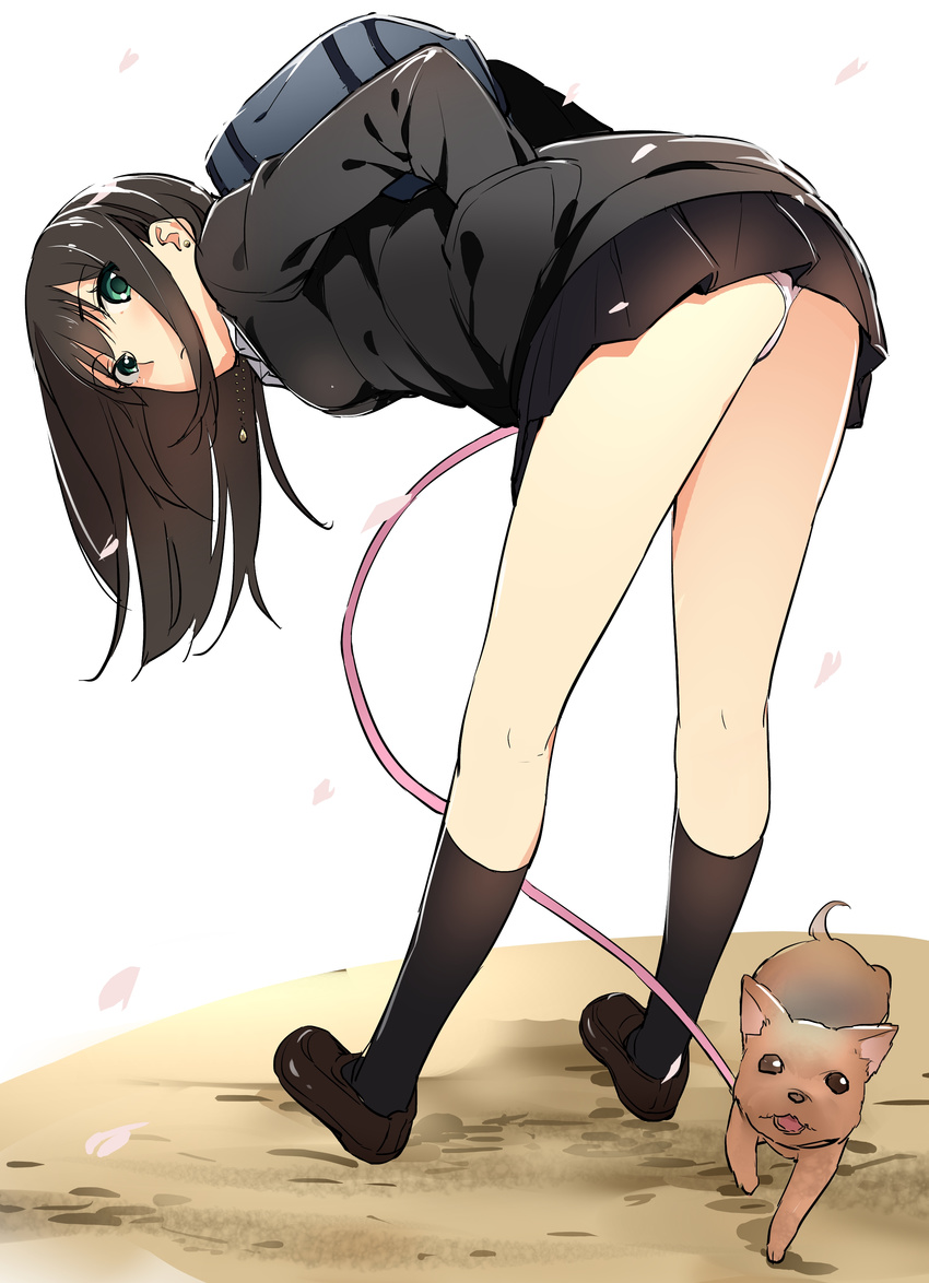 absurdres akechi_shizuku ass bag black_cardigan black_skirt black_socks brown_hair canine cardigan commentary_request earrings female flat_ass from_behind green_eyes hanako_(idolmaster) hand_in_pocket highres idolmaster idolmaster_cinderella_girls jewelry kneehighs leaning_forward leash loafers long_hair looking_at_viewer looking_back necklace panties pantyshot school_uniform shibuya_rin shirt shoes skirt socks solo standing underwear white_panties white_shirt