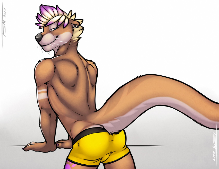 2017 anthro arm_support back_muscles black_nose blonde_hair blue_eyes brown_body brown_fur bulge clothed clothing ear_piercing fur gemini_the_otter hair hi_res leaning leaning_forward looking_at_viewer looking_back male mammal mustelid otter piercing pinup portrait pose rear_view seductive short_hair simple_background smile solo standing three-quarter_portrait topless tsaiwolf underwear whiskers