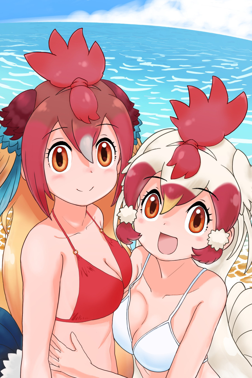 2girls absurdres alternate_costume bare_shoulders beach bikini bird_girl bird_tail bird_wings blonde_hair blue_hair blush chicken_(kemono_friends) hair_between_eyes head_wings highres kemono_friends long_hair midriff multicolored_hair multiple_girls ocean open_mouth orange_eyes orange_hair panyanoroba red_bikini red_hair red_junglefowl_(kemono_friends) sidelocks sleeveless smile swimsuit tail white_bikini white_hair wings