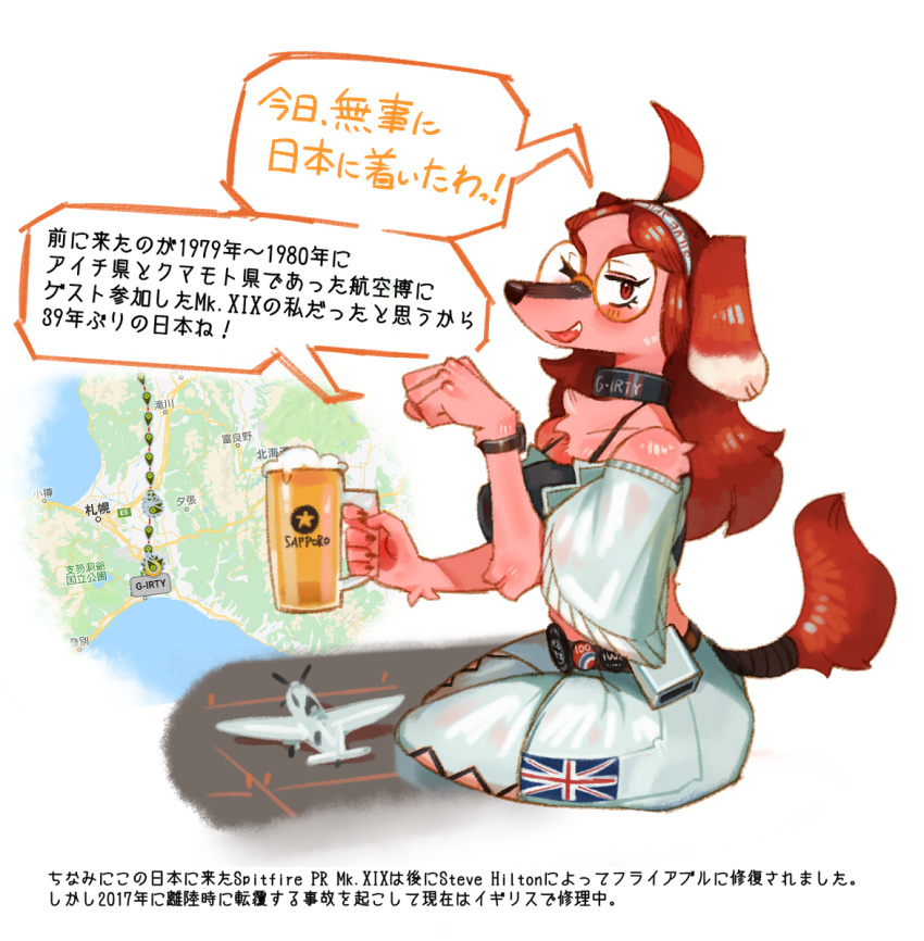 2019 5_fingers accessory ahoge aircraft alcohol anthro beer belt beverage biped breasts british canid canine canis clock clothed clothing collar dialogue domestic_dog exclamation_point eyewear female fingers fluffy fluffy_tail fur glasses hair hair_accessory hairband hideki_kaneda holding_object japanese_text looking_at_viewer mammal map midriff open_mouth paw_pose pink_body pink_fur pose red_eyes red_hair sapporo simple_background sitting solo speech_bubble spitfire_(hideki_kaneda) supermarine_spitfire tail text text_on_collar translation_request vehicle watch white_background