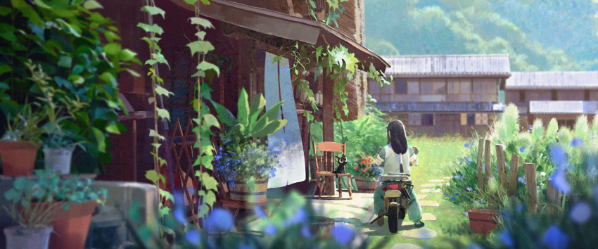 1boy animal black_cat black_hair blue_fire building chair chenalii day feline fire grass highres leaf long_hair low-tied_long_hair luo_xiaohei luo_xiaohei_(cat) luo_xiaohei_zhanji outdoors plant potted_plant shadow wuxian_(the_legend_of_luoxiaohei)