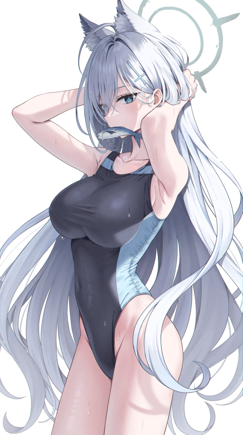 absurdres blue_archive blue_eyes blush competition_swimsuit cross_hair_ornament female fish fish_in_mouth grey_halo hair_ornament hairclip halo highres long_hair ojyomu one-piece_swimsuit shiroko_(blue_archive) shiroko_terror_(blue_archive) solo swimsuit tying_hair very_long_hair wet white_hair