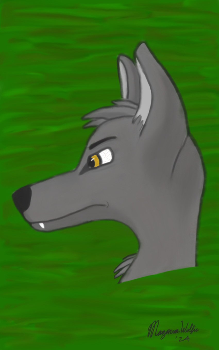 anthro canid canine canis fur grey_body grey_fur head hi_res magnumwolfie male male/male mammal side_view solo teeth wolf yellow_eyes