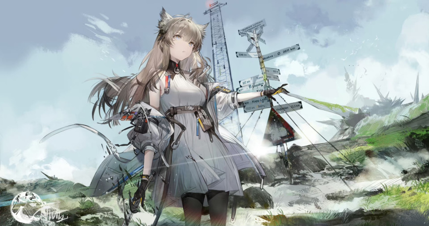 animal_ears arknights arknights:_endfield bare_shoulders black_gloves black_pantyhose blue_eyes blush breasts dress female gloves grass grey_hair highres jacket long_hair long_sleeves looking_at_viewer medium_breasts off_shoulder open_clothes open_jacket pantyhose perlica_(arknights) sky sleeveless sleeveless_dress solo user_dmzk8883 white_dress white_jacket