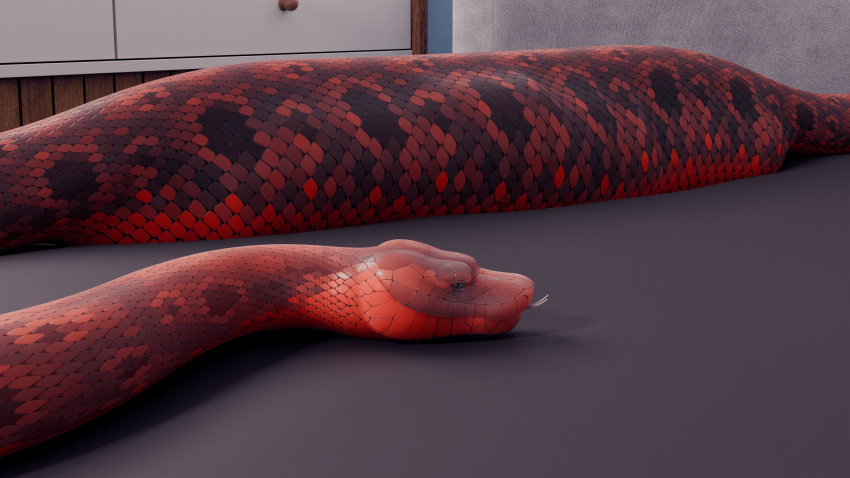 3d_(artwork) absurd_res belly big_belly bloated bulge bump digital_media_(artwork) feral fully_inside hi_res matteino orange_body python red_body reptile scalie sharkstuff smallowing snake solo stomach_bulge vore