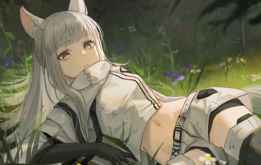 animal_ears arknights bike_shorts bike_shorts_under_shorts black_gloves black_shorts clothes_writing commentary cowboy_shot cropped_jacket female flower gloves grass highres horse_ears horse_girl long_hair looking_at_viewer midriff navel platinum_(arknights) purple_flower shorts sidelocks solo symbol-only_commentary tadano_tarako white_hair white_shorts yellow_eyes