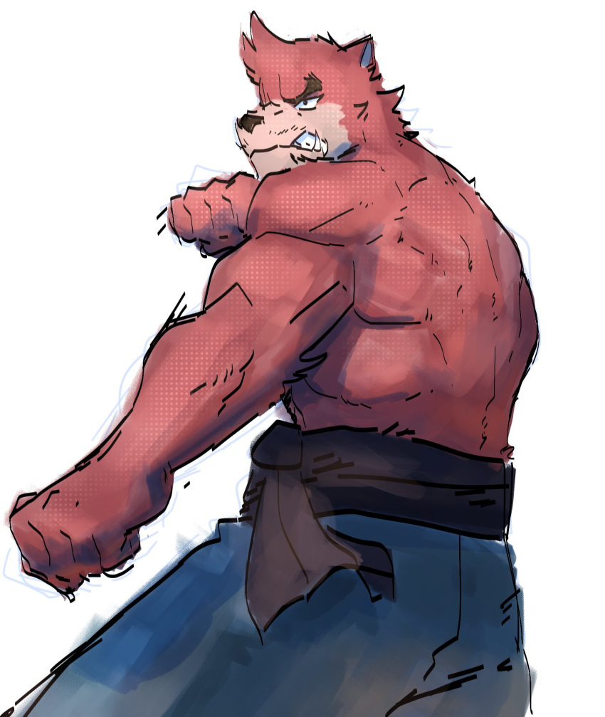 angry anthro athletic athletic_anthro athletic_male bared_teeth bear belt bottomwear clothed clothing fighting_pose fist goonie-san hi_res kumatetsu male mammal pants pose solo the_boy_and_the_beast topless topless_male