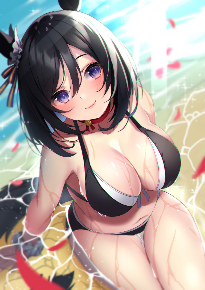 amahara_pekozaemon animal_ears bikini black_bikini black_hair blurry blurry_background blush bob_cut breasts choker cleavage closed_mouth collarbone day depth_of_field dutch_angle ear_ornament eishin_flash_(umamusume) female hair_between_eyes highres horse_ears horse_girl horse_tail large_breasts light_rays looking_at_viewer outdoors petals pink_lips purple_eyes red_choker scrunchie shallow_water short_hair sitting smile solo sparkle sunbeam sunlight swept_bangs swimsuit tail thigh_gap thighs umamusume water wet wrist_scrunchie