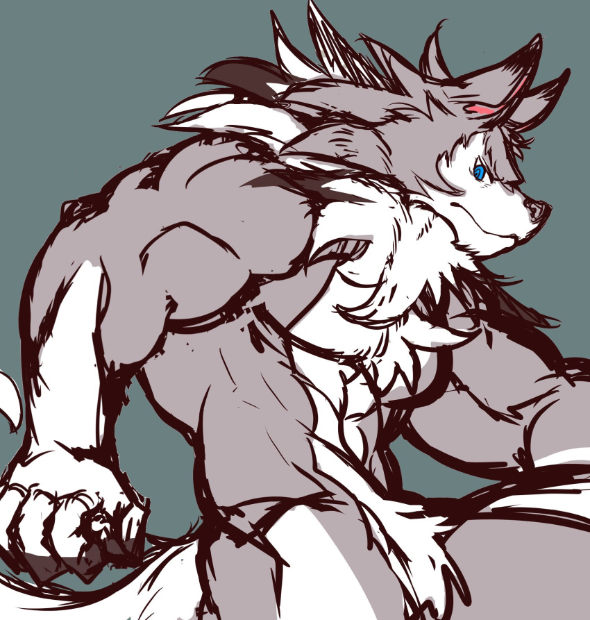 abs anthro anthrofied blue_eyes canid canine fur generation_7_pokemon hi_res istani lycanroc male mammal midday_lycanroc multicolored_body multicolored_fur muscular muscular_anthro muscular_male nintendo pecs pokemon pokemon_(species) pokemorph simple_background solo two_tone_body two_tone_fur white_body white_fur