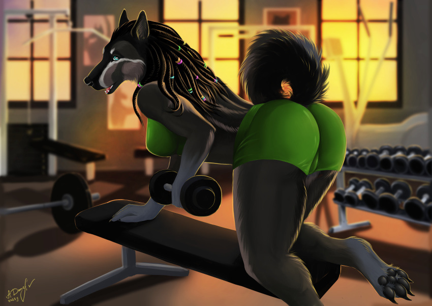 absurd_res alexandradane anthro black_body black_fur black_pawpads black_tail canid canine canis clothing dreadlocks dumbbell female fur green_clothing gym hi_res hiona mammal markings pawpads paws sport tail weights white_markings wolf