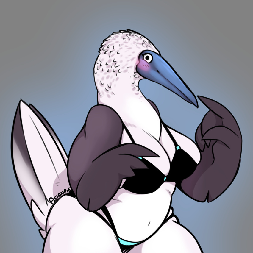 1:1 2021 4_fingers anthro asianpie avian beak belly big_breasts bikini biped bird black_eyes blue-footed_booby blush booby_(bird) bottomwear breasts cleavage clothed clothing curvy_figure digital_media_(artwork) feather_hands feathered_wings feathers female fingers front_view fully_clothed gradient_background grey_background grey_beak grey_body grey_feathers hi_res humor looking_at_viewer midriff multicolored_body multicolored_feathers navel non-mammal_breasts pun shaded signature simple_background skimpy slightly_chubby slightly_chubby_anthro slightly_chubby_female solo sulid swimwear tail tail_feathers thick_thighs topwear two_tone_body two_tone_feathers visual_pun voluptuous white_body white_feathers wide_hips wings