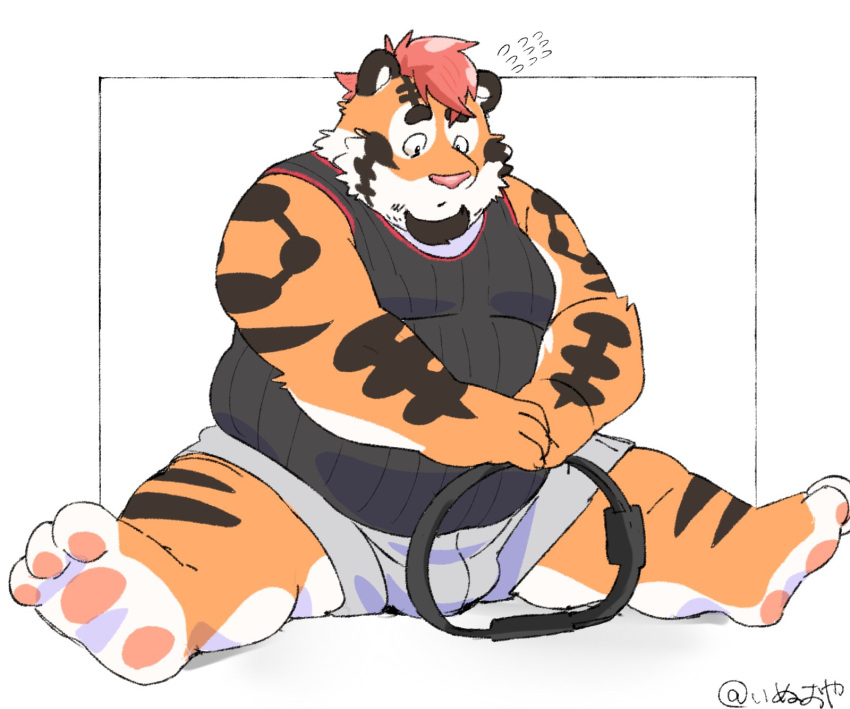 2024 anthro belly big_belly bottomwear bulge clothing felid hi_res inunoshippo kemono male mammal nintendo overweight overweight_male pantherine pink_nose ring_fit_adventure shirt shorts simple_background sitting solo tiger topwear