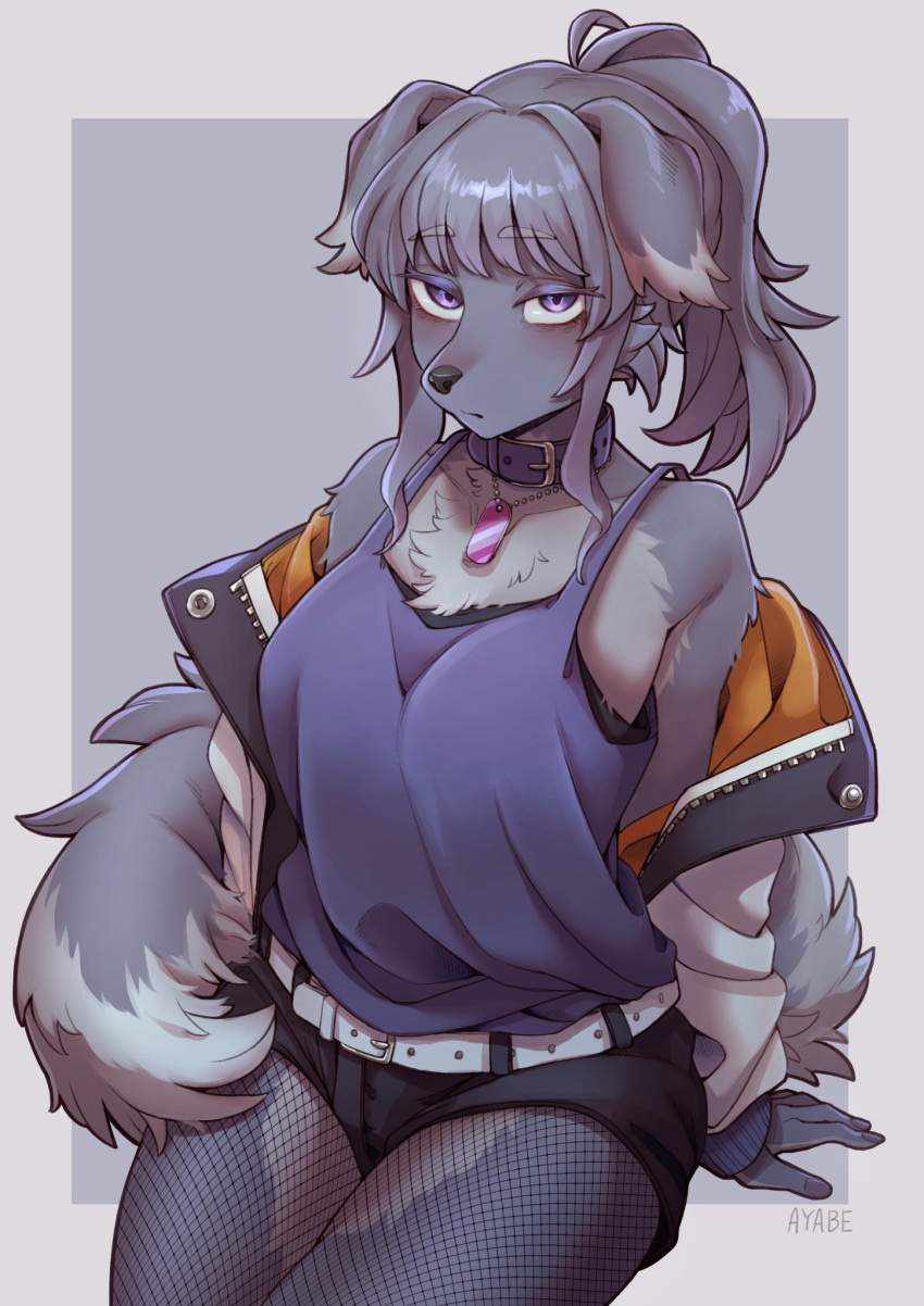 anthro ayabemiso bottomwear breasts canid canine canis chest_tuft clothed clothing collar dog_tags domestic_dog eyeshadow female fishnet_clothing fishnet_legwear fur grey_body grey_fur grey_hair hair hi_res jacket kemono legwear makeup mammal ponytail purple_eyes shirt shorts sitting solo tank_top tired_eyes topwear tuft