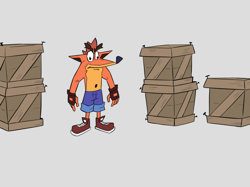 activision anthro bandicoot bottomwear box brown_hair clothing container crash_(series) crash_bandicoot crate derp_eyes footwear gloves grey_background hair handwear hi_res male mammal marsupial no_shirt orange_body shirtless shoes shorts simple_background solo standing thef1amethr0wer