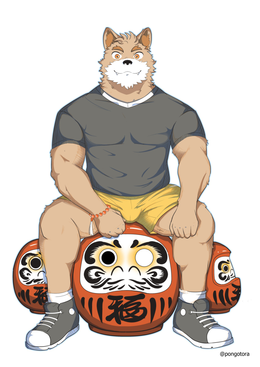 alpha_channel anthro bulge canid canine canis clothing daruma domestic_dog gaouu hi_res male mammal muscular muscular_anthro muscular_male pongotora rugby shiba_inu simple_background solo spitz tora_(pongotora) transparent_background uniform