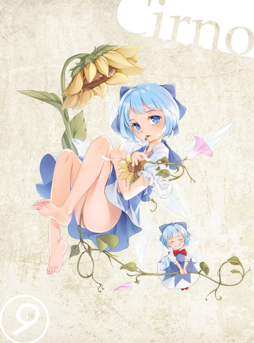 an-telin bare_legs barefoot blue_bow blue_eyes blue_hair bow character_name cirno commentary dress english_commentary feet female flower hairbow highres legs looking_at_viewer mouth_hold no_panties short_hair soles sunflower toes touhou