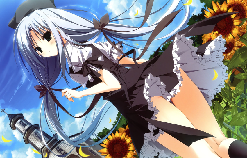 black_eyes blush dress female female flower hat highres himawari_no_kyoukai_to_nagai_natsuyasumi inugami_kira long_hair nonohara_hinazakura nopan ribbon sky smile solo summer tied_hair twintails white_hair