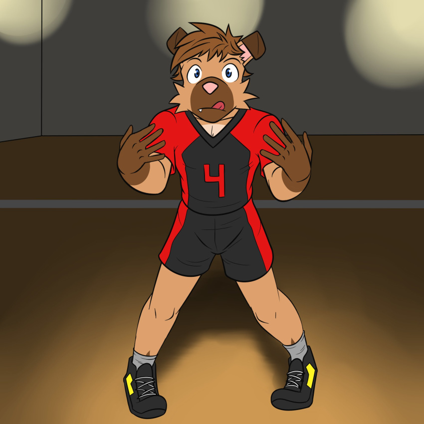 1:1 anthro anthrofied blep bottomwear clothed clothing fully_clothed fuze generation_7_pokemon hi_res male nintendo pokemon pokemon_(species) ricky_(fuze) rockruff shirt shorts solo sport sportswear t-shirt tongue tongue_out topwear volleyball