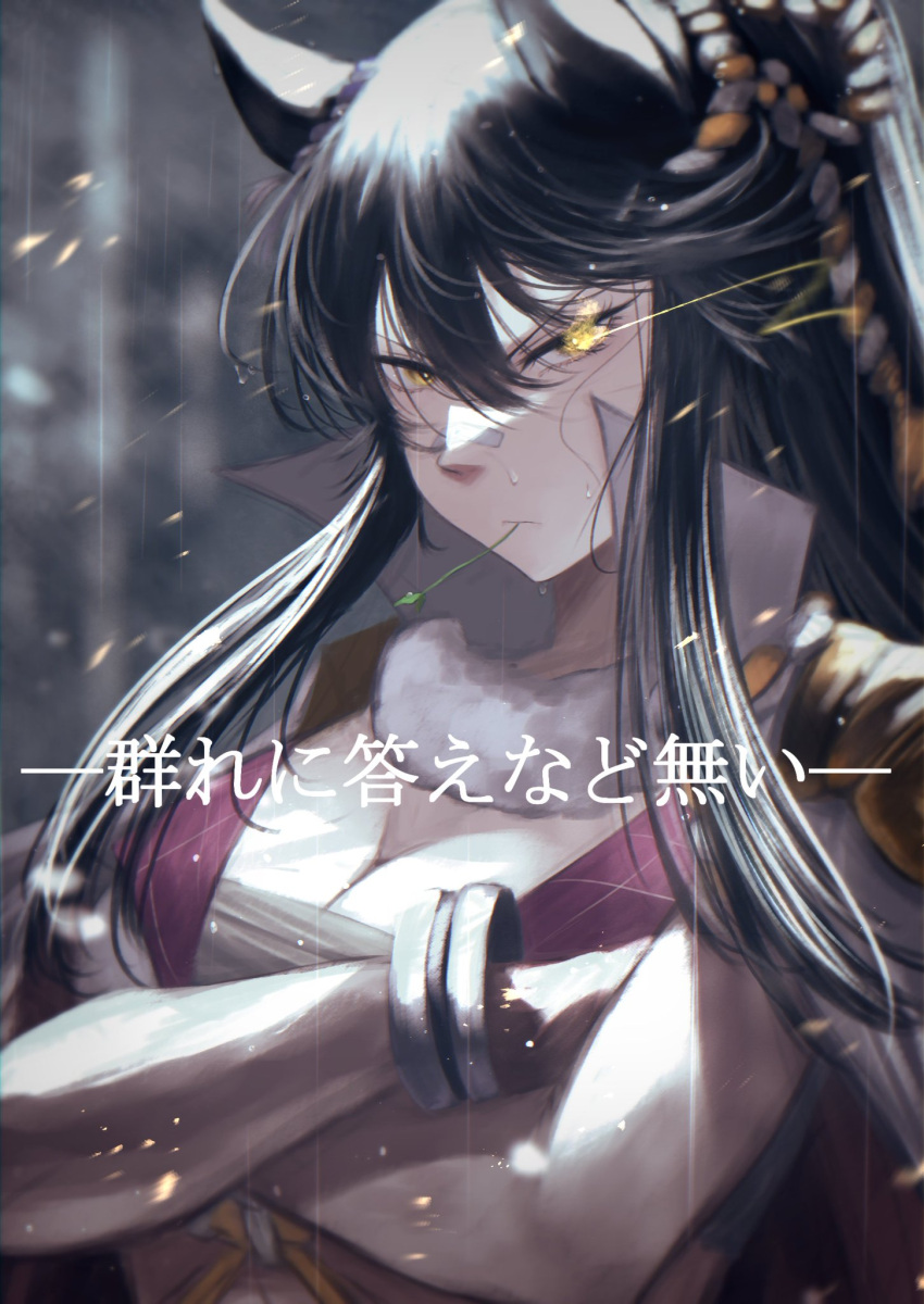 animal_ears bad_id bad_pixiv_id bangle black_hair blurry blurry_background bracelet commentary crossed_arms depth_of_field ear_ornament eye_trail female flaming_eye hasewo high_ponytail highres horse_ears horse_girl japan_racing_association jewelry light_trail long_hair looking_at_viewer narita_brian_(umamusume) sarashi solo translated umamusume yellow_eyes