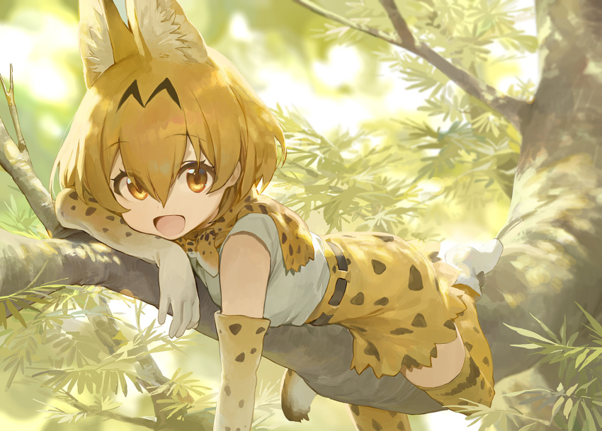 animal_ears kemono_friends mossi serval thighhighs