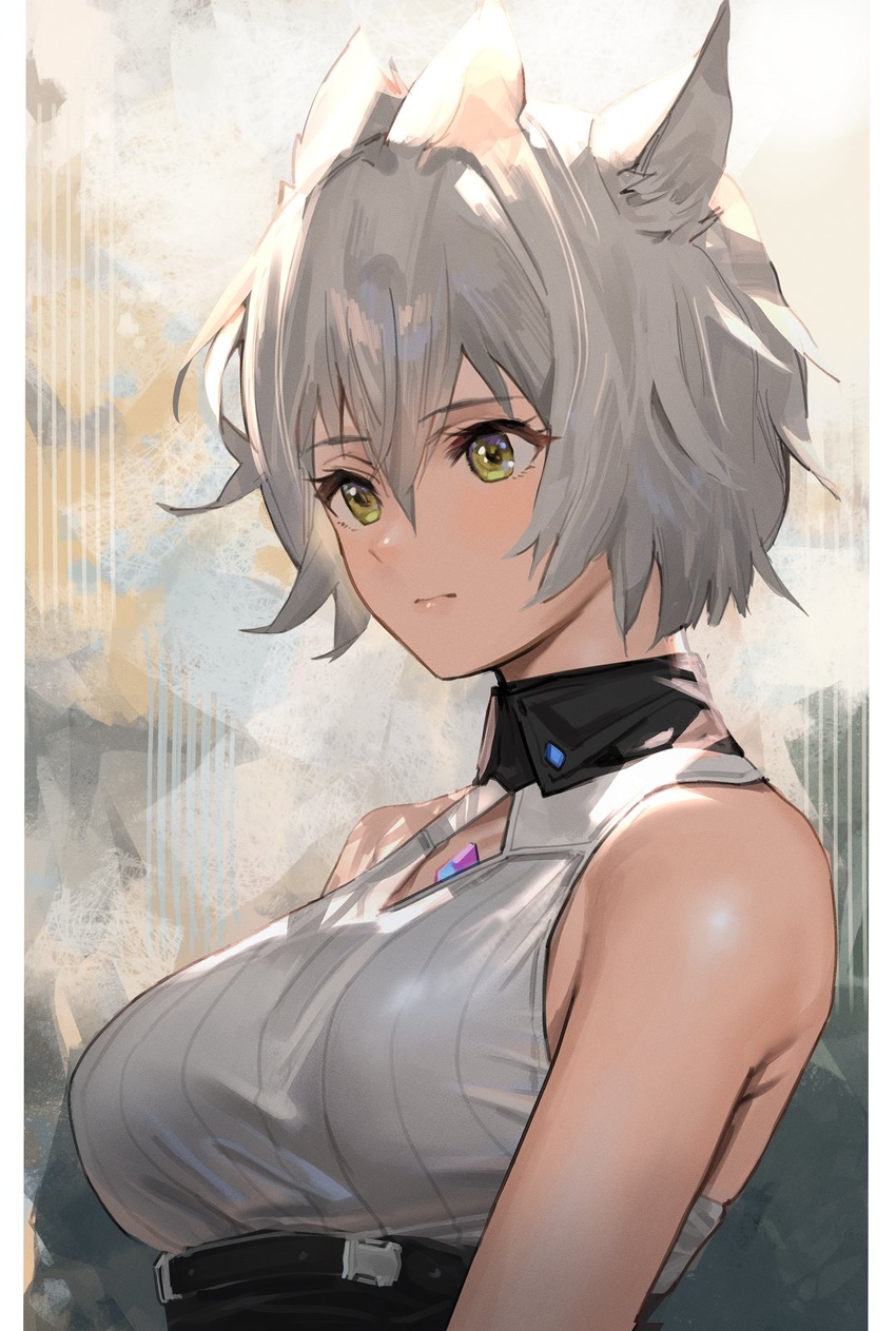 animal_ears breasts cat_ears cat_girl chest_jewel clothing_cutout core_crystal_(xenoblade) diamond_cutout female grey_hair hair_between_eyes highres j@ck large_breasts messy_hair na'el_(xenoblade) short_hair shorts solo upper_body xenoblade_chronicles_(series) xenoblade_chronicles_3 xenoblade_chronicles_3:_future_redeemed yellow_eyes