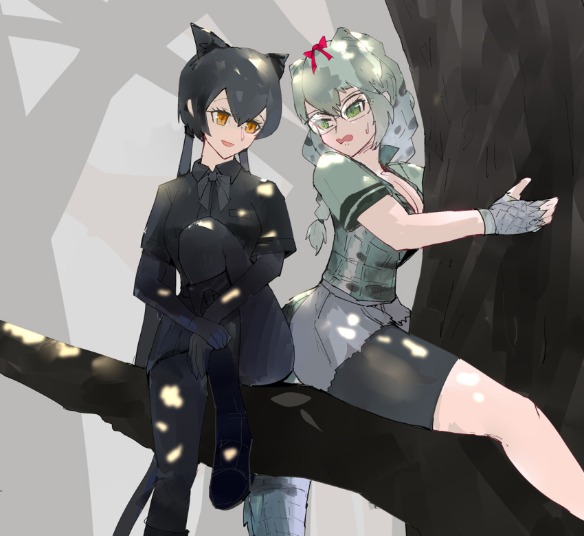 2girls animal_ears bare_arms bike_shorts bike_shorts_under_shorts black_bow black_bowtie black_hair black_leopard_(kemono_friends) black_shirt black_shorts black_skirt bodystocking bow bowtie braid branch breasts cleavage collared_shirt crocodilian_tail dappled_sunlight day fingerless_gloves fog glasses gloves green_eyes green_hair grey_gloves grey_shorts hair_between_eyes hairbow in_tree kemono_friends kemono_friends_2 knee_up large_breasts leopard_ears leopard_girl leopard_tail long_hair looking_at_another microskirt multicolored_hair multiple_girls nervous orange_eyes outdoors parted_lips red_bow shirt short_shorts short_sleeves shorts shorts_under_shorts sitting sitting_in_tree skirt smile spectacled_caiman_(kemono_friends) sunlight tail tree twin_braids twintails very_long_hair vest wing_collar yappa_muri