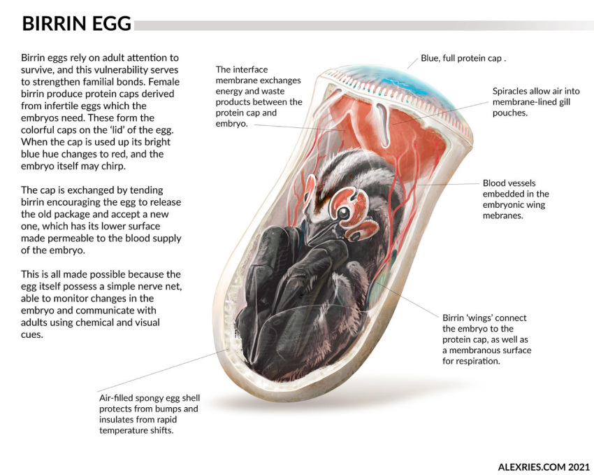 4_eyes 6_legs alex_ries alien ambiguous_gender baby birrin egg english_text fur gills grey_body grey_skin multi_eye orange_body orange_skin solo striped_body striped_fur stripes text white_body white_skin wings young