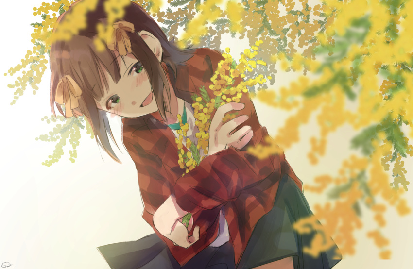 amami_haruka black_skirt blurry blurry_foreground blush brown_hair commentary_request female flower green_eyes hair_ribbon highres holding holding_flower idolmaster idolmaster_(classic) kuzuya_ramurin long_sleeves medium_hair mimosa_(flower) plaid plaid_shirt ribbon shirt skirt smile solo yellow_flower