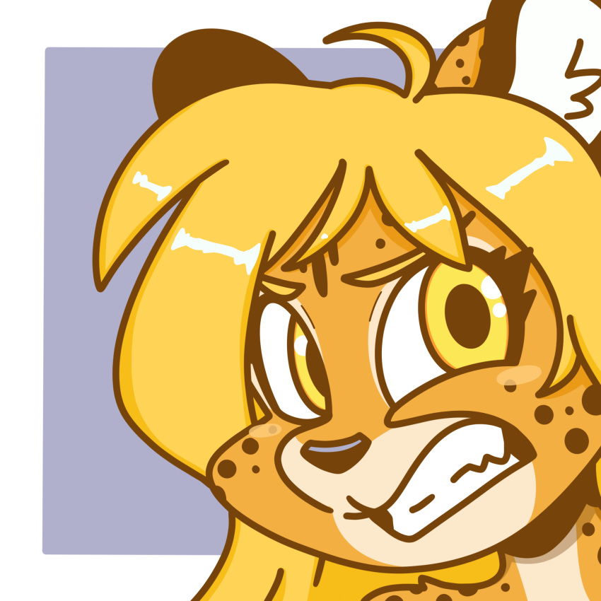 1:1 anthro blonde_hair cheetah digital_media_(artwork) felid feline female fur hair headshot_portrait hi_res icon long_hair looking_at_viewer mammal mihari nicky_illust orange_body orange_fur portrait simple_background solo spots yellow_body yellow_fur