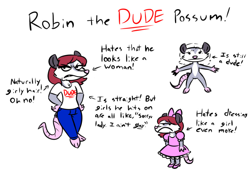 american_opossum angry anthro clothed clothing crossdressing english_text femboy male mammal marsupial model_sheet robin_(rusheloc) rusheloc side_view solo text virginia_opossum