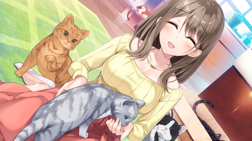 animal blush brown_hair feline game_cg hibiki_works necklace oryou re_cation_~melty_healing~ tsubaki_hinako