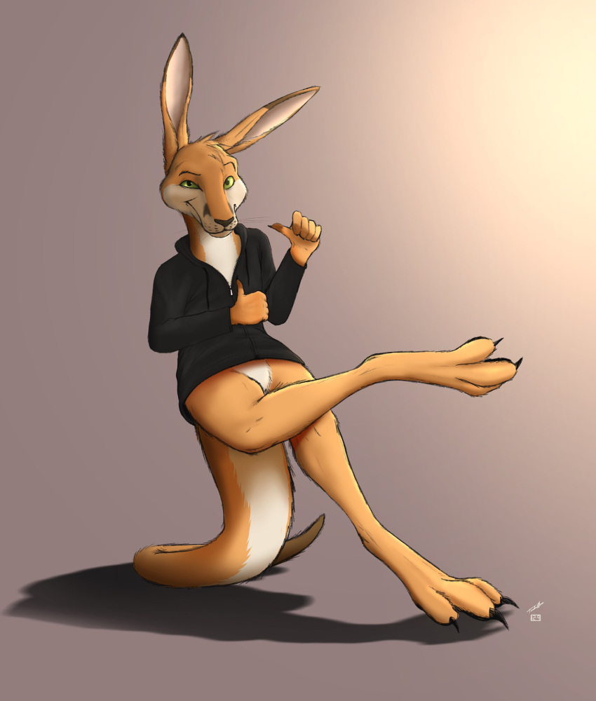 12-9 3_toes anthro bottomless bottomless_anthro bottomless_female claws clothed clothing digital_media_(artwork) eyebrows featureless_crotch feet female fur green_eyes hi_res hoodie kangaroo looking_at_viewer macropod male mammal marsupial renegade_kangaroo simple_background solo toe_claws toes topwear