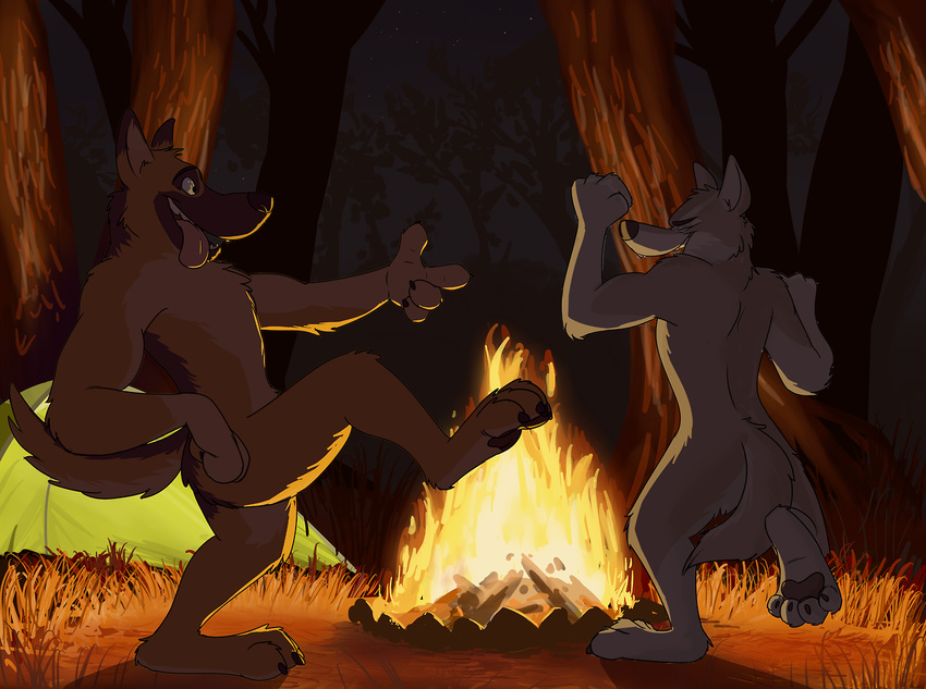 anthro bonfire brown_body brown_fur canid canine canis casual_nudity dancing detailed_background domestic_dog duo fur german_shepherd herding_dog male mammal nude paintfox pastoral_dog white_body white_fur wolf