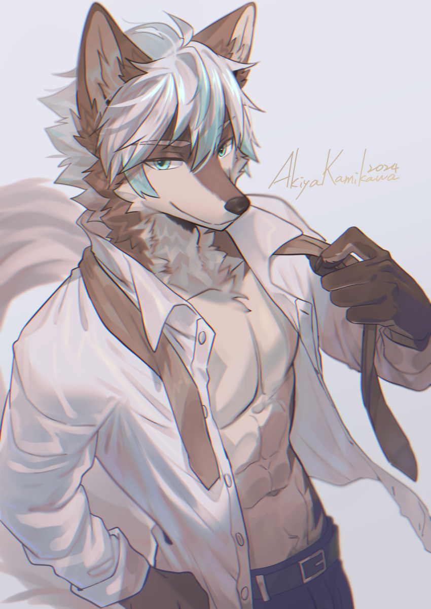 2024 akiya-kamikawa anthro belt brown_body brown_fur canid canine claws clothed clothing countershade_face countershade_fur countershade_torso countershading fingers fur hair hi_res kemono male mammal necktie open_clothing open_shirt open_topwear shirt solo topwear