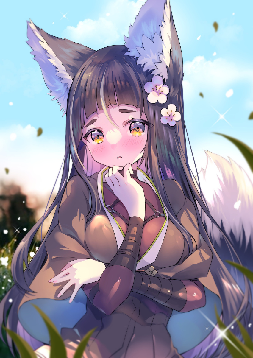 07touka25 absurdres animal_ears arm_under_breasts arm_wrap bellflower black_dress black_hair blunt_bangs blush capelet dress female flower fox_ears fox_tail grass hair_flower hair_ornament hand_on_own_chest highres kitsunegasaki_tametsugu_(tenka_hyakken) long_hair looking_at_viewer outdoors parted_lips raised_eyebrows sky solo tail tenka_hyakken yellow_eyes