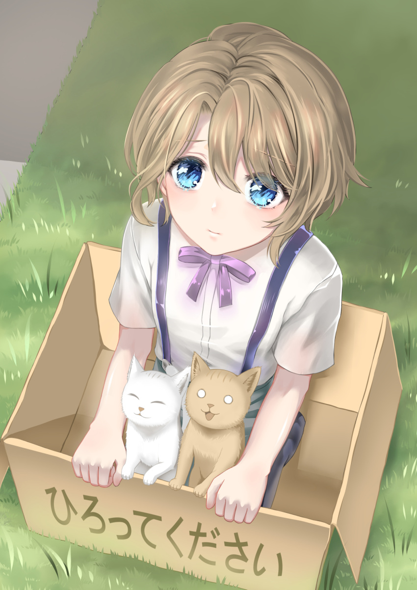 1boy aged_down blue_eyes box brown_hair cardboard_box day feline for_adoption grass highres in_box in_container keith_claes kitten lin_dreamer lolicon looking_at_viewer looking_up male_focus otome_game_no_hametsu_flag_shika_nai_akuyaku_reijou_ni_tensei_shite_shimatta outdoors purple_ribbon ribbon short_hair short_sleeves suspenders