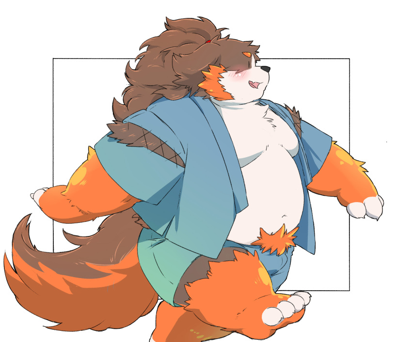 2023 anthro belly bernese_mountain_dog big_belly black_body blush bottomwear brown_body canid canine canis clothing domestic_dog hi_res inunoshippo jinbei_(clothing) kemono male mammal molosser moobs mountain_dog overweight overweight_male shorts solo swiss_mountain_dog white_body