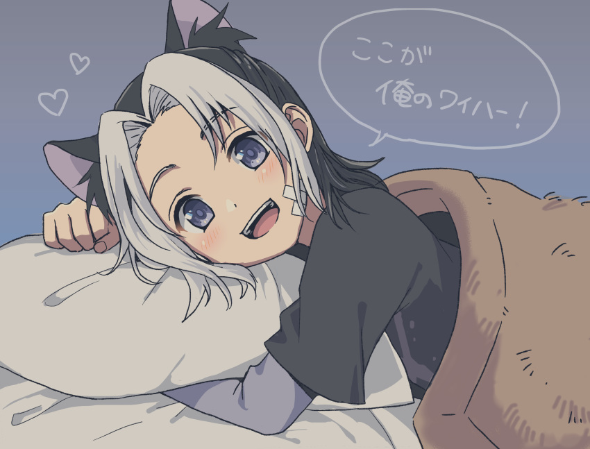 1boy animal_ears bandage_on_face bandages black_hair blue_eyes blush cat_ears commentary_request heart highres kawara_bee looking_at_viewer male_focus medium_hair multicolored_hair oginy open_mouth partial_commentary pillow smile solo two-tone_hair uchitama?! white_hair