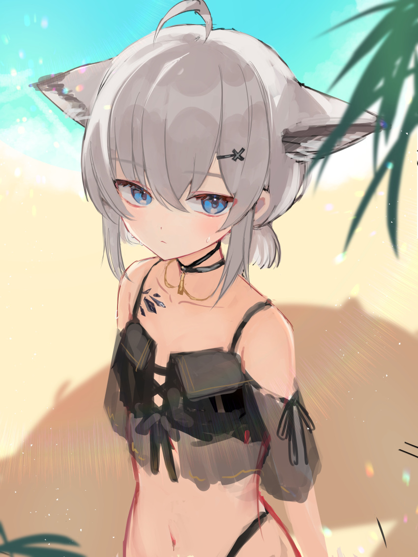 absurdres ahoge animal_ear_fluff animal_ears arknights bare_shoulders beach bikini black_bikini blue_eyes closed_mouth collarbone commentary_request day female grey_hair hair_between_eyes hair_ornament hairclip highres looking_at_viewer material_growth nagute navel oripathy_lesion_(arknights) outdoors sand see-through solo sussurro_(arknights) sussurro_(summer_flower)_(arknights) swimsuit water x_hair_ornament