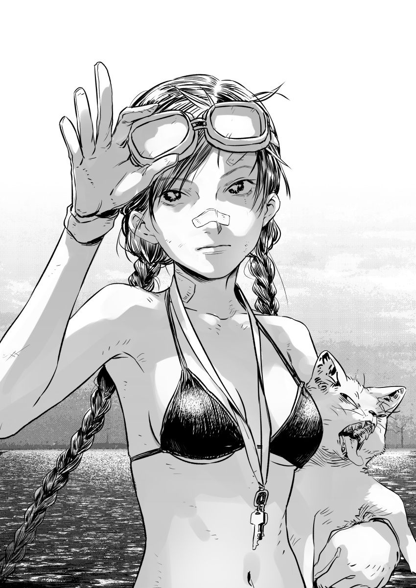 absurdres animal bandaid bandaid_on_face bandaid_on_forehead bandaid_on_neck bandaid_on_nose bikini black_bikini bouken_erekite-tou braided_twintails commentary feline female gloves goggles goggles_on_head greyscale highres holding holding_animal holding_cat jewelry key key_necklace long_hair mikura_mikura monochrome navel necklace swimsuit white_cat white_gloves yuzhou_gou_ren_wang