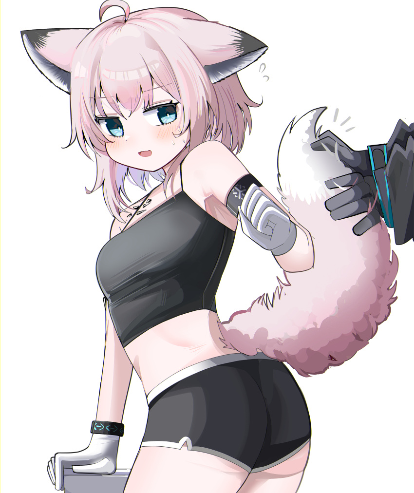 1other absurdres ahoge animal_ears arknights ass bare_shoulders bike_shorts black_camisole blue_eyes blush bright_pupils camisole cowboy_shot crop_top doctor_(arknights) female flying_sweatdrops gloves highres infection_monitor_(arknights) looking_back material_growth notice_lines open_mouth oripathy_lesion_(arknights) out_of_frame pink_hair pink_tail short_hair simple_background solo_focus spaghetti_strap spam_(spamham4506) standing sussurro_(arknights) sweatdrop tail tail_grab tail_raised white_background white_gloves white_pupils white_tail