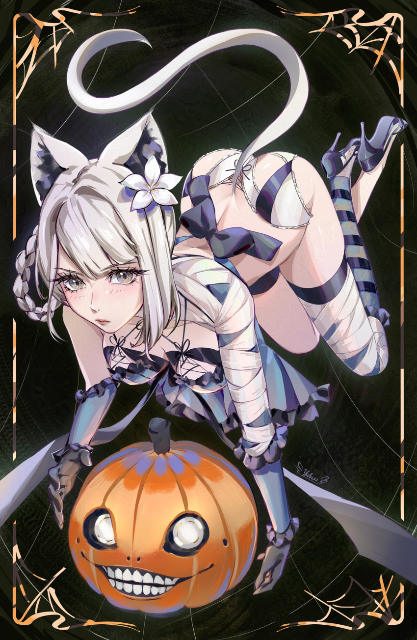 animal_ear_fluff animal_ears ass bandaged_leg bandaged_neck bandages braid braided_hair_rings breasts cat_ears cat_tail cross-laced_clothes cross-laced_panties emil_(nier) female flower frilled_gloves frills gloves grey_eyes grey_hair hair_flower hair_ornament hair_rings high_heels highres kaine_(nier) large_breasts lingerie long_eyelashes nier nier_(series) panties pumpkin solo tail underwear yubuki_i