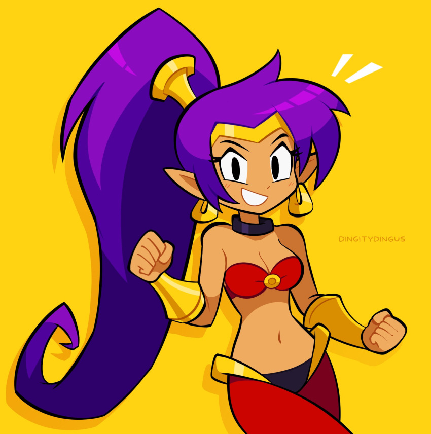 breasts cleavage clothed clothing dingitydingus ear_piercing ear_ring female genie hair hi_res humanoid humanoid_pointy_ears long_hair looking_at_viewer not_furry piercing pointy_ears ponytail purple_hair ring_piercing shantae shantae_(series) signature simple_background smile solo tan_body tan_skin wayforward