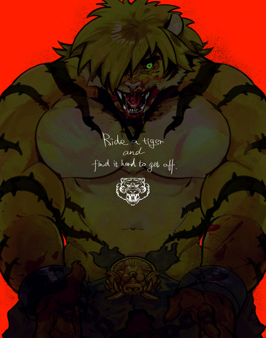 1boy animal_ears bara blackcatlandr blonde_hair blood blood_on_face english_text fangs fangs_out furry furry_male green_eyes highres large_pectorals loincloth macan_(housamo) male_focus muscular muscular_male navel nipples pectorals red_background short_hair solo thick_eyebrows tiger_boy tiger_ears tokyo_afterschool_summoners topless_male upper_body yellow_fur