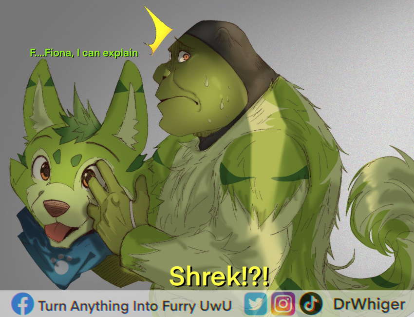 2022 blep blursed_image bodily_fluids canid canine canis caught clothed clothing costume dialogue dr.whiger dreamworks english_text frown fur fursuit grey_background hair hi_res holding_object humanoid humor kerchief male mammal neckerchief offscreen_character ogre princess_fiona shrek_(character) shrek_(series) simple_background solo standing sweat text tongue tongue_out tuft watermark wolf