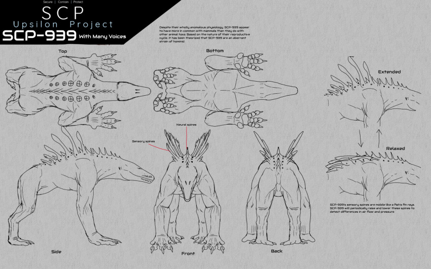 16:10 4_fingers 4_toes ambiguous_gender back_spikes back_spines bird's-eye_view black_text claws digital_drawing_(artwork) digital_media_(artwork) digitigrade english_text eye_spots eyeless feet feral finger_claws fingers front_view grey_background greyscale hairless hi_res high-angle_view kenneth_crooker line_art low-angle_view mammal monochrome monster mouth_closed multiple_images muscular muscular_ambiguous muscular_feral orthographic quadruped rear_view scp-939 scp_foundation setae_(anatomy) side_view simple_background snout species_name spikes spikes_(anatomy) spines text toe_claws toes white_text widescreen worm's-eye_view