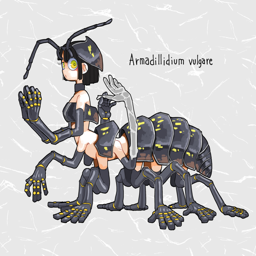 absurdres antennae arthropod_girl arthropod_limbs black_hair commentary_request extra_arms female full_body grey_background highres isopod looking_at_viewer monster_girl nicoq_(koikoihaihai) original pillbug_girl short_hair solo yellow_eyes